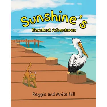 Sunshine's Excellent Adventures