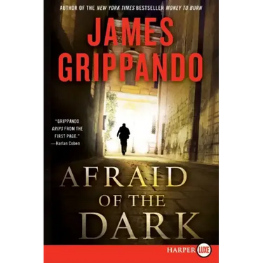 Afraid of the Dark: A Novel of Suspense