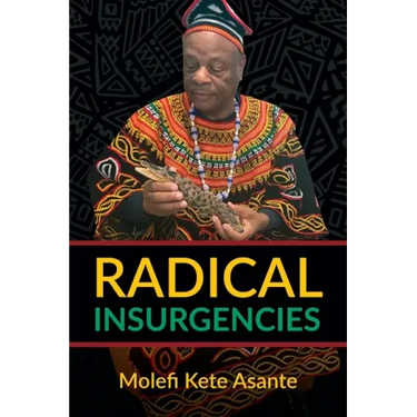 Radical Insurgencies