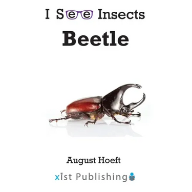 Beetle