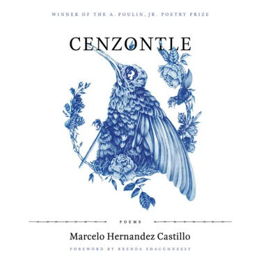 Cenzontle