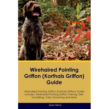 Wirehaired Pointing Griffon (Korthals Griffon) Guide Wirehaired Pointing Griffon Guide Includes: Wirehaired Pointing Griffon Training, Diet, Socializi