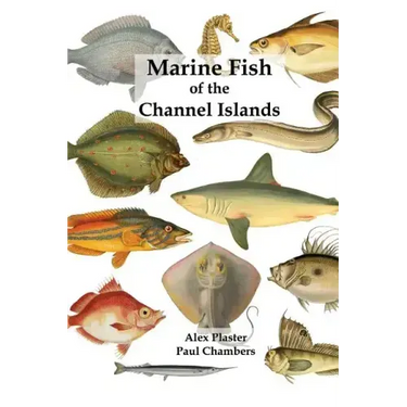 Marine Fish of the Channel Islands