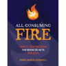 All-Consuming Fire: Object Lessons from the Book of Acts for Kids