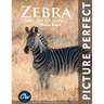 Zebra: Picture Perfect Photo Book