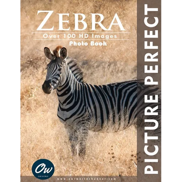 Zebra: Picture Perfect Photo Book