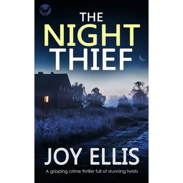 THE NIGHT THIEF a gripping crime thriller full of stunning twists