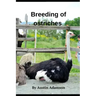 breeding of ostriches