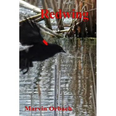 Redwing: Poems by Marvin Orbach