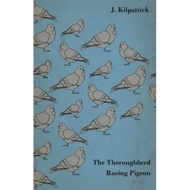 The Thoroughbred Racing Pigeon