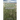 Grasses of the Southwest: A Key to Common Species Using Vegetative Features