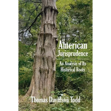 American Jurisprudence: An Analysis of Its Historical Roots