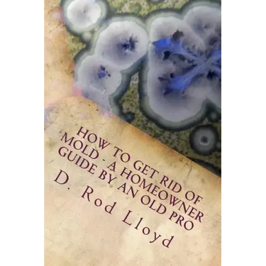 How to get rid of MOLD - a homeowner guide by an Old Pro