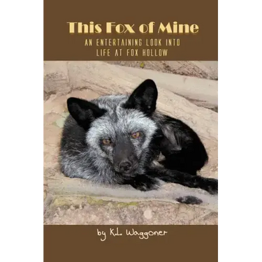 This Fox of Mine: An Entertaining Look into Life at Fox Hollow