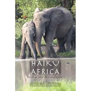 Haiku Africa: Haikus and Photographs