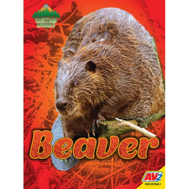 Beaver