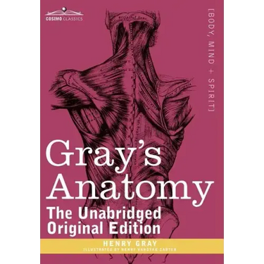 Gray's Anatomy: Descriptive and Surgical