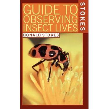 Stokes Guide to Observing Insect Lives