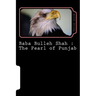 Baba Bulleh Shah: The Pearl of Punjab: Selective 50 odd kafis of Sufi poet rendered into English