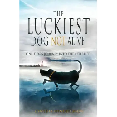 The Luckiest Dog Not Alive