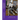 Cyberdroid: The Future of the World