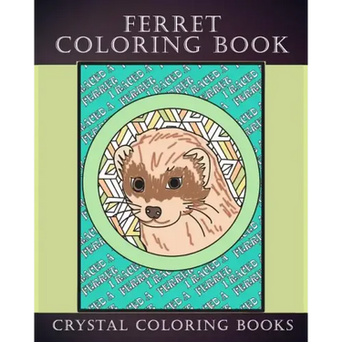 Ferret Coloring Book: 30 Hand Drawn Ferret Drawings. If You Love Ferrets Or Know Someone That Does Then this Is The Perfect Coloring Book Or Gift.