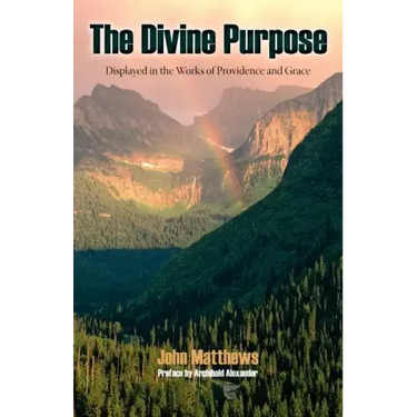 The Divine Purpose Displayed in Providence and Grace