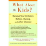 What about the Kids?: Raising Your Children Before, During, and After Divorce