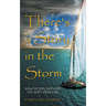 There's a Story in the Storm: How to Stay Focused on God's Promises