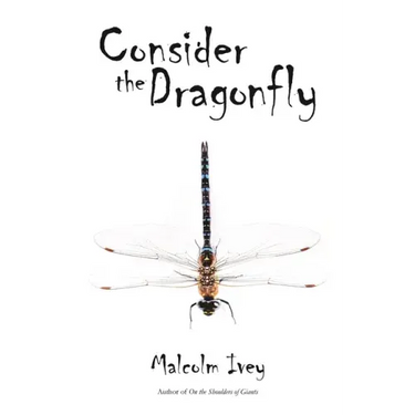 Consider the Dragonfly