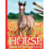 Foals: Horse Images for Artist's Reference and Inspiration