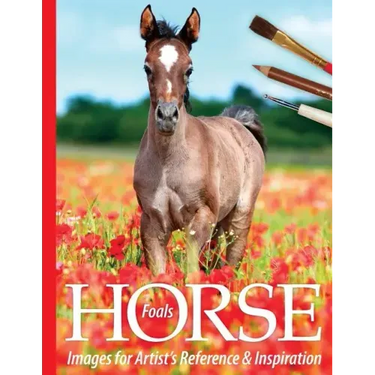 Foals: Horse Images for Artist's Reference and Inspiration