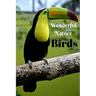 Wonderful Nature Birds: Picture book gift for seniors with Dementia or patients with Alzheimer's. 40 full color photographs of birds, with nam