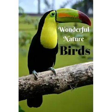 Wonderful Nature Birds: Picture book gift for seniors with Dementia or patients with Alzheimer's. 40 full color photographs of birds, with nam