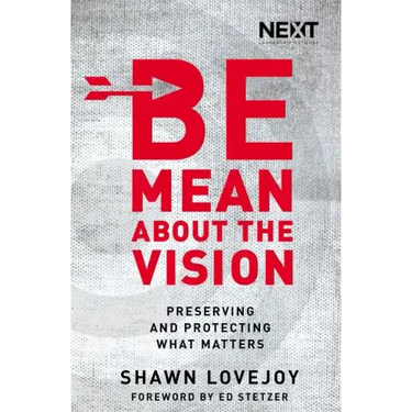 Be Mean about the Vision: Preserving and Protecting What Matters