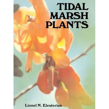 Tidal Marsh Plants