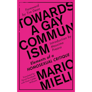 Towards a Gay Communism: Elements of a Homosexual Critique