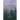 Into The Forest Deep