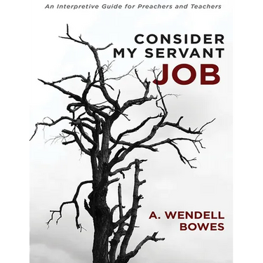 Consider My Servant Job: An Interpretive Guide for Preachers and Teachers