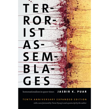 Terrorist Assemblages: Homonationalism in Queer Times