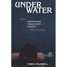 Underwater: When Encephalitis, Brain Injury and Epilepsy Change Everything