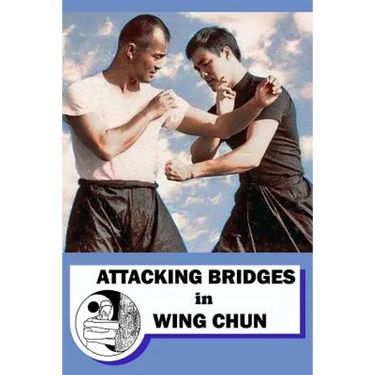 Attacking bridges in Wing Chun