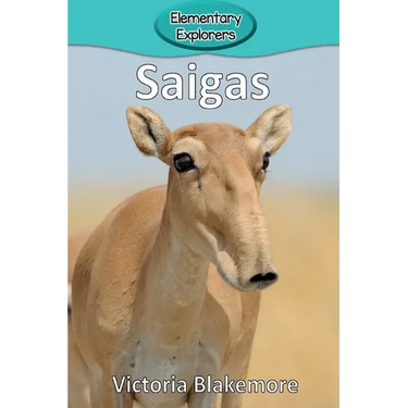 Saigas