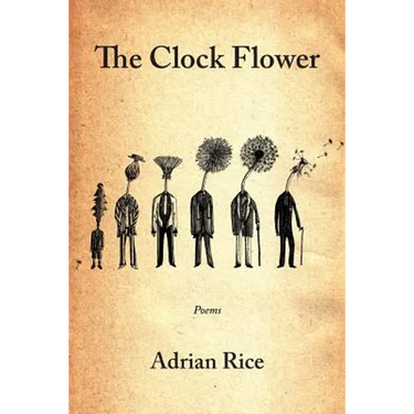 The Clock Flower
