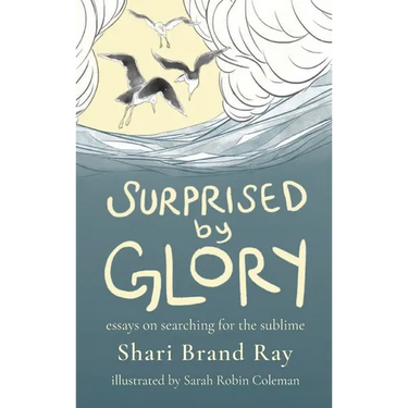 Surprised by Glory: Essays on Searching for the Sublime