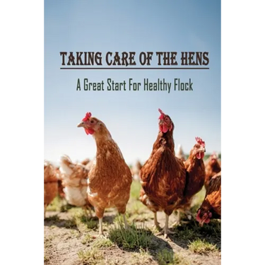 Taking Care Of The Hens: A Great Start For Healthy Flock: How To Raise Chickens For Eggs