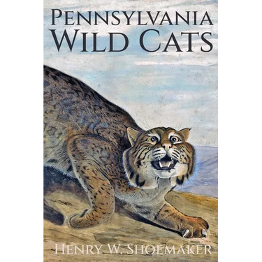 Pennsylvania Wild Cats