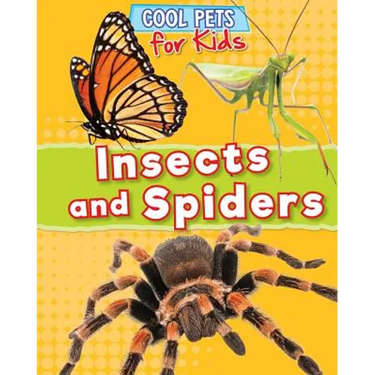 Insects and Spiders