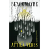The Black Maybe: Liminal Tales