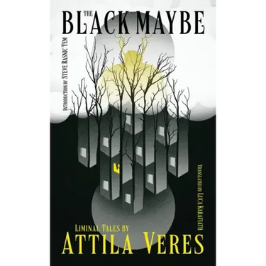 The Black Maybe: Liminal Tales